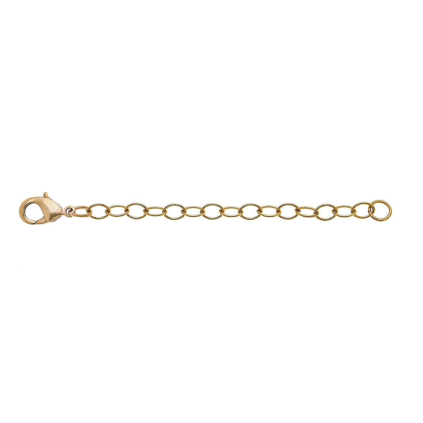 Susan Shaw Gold Necklace Chain Extender